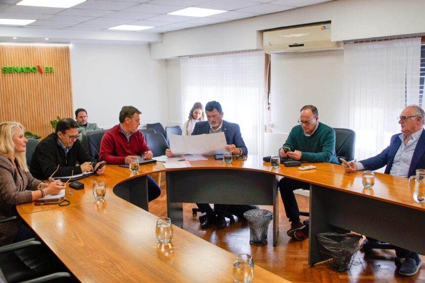 Senado: dictamen favorable para proyectos productivos