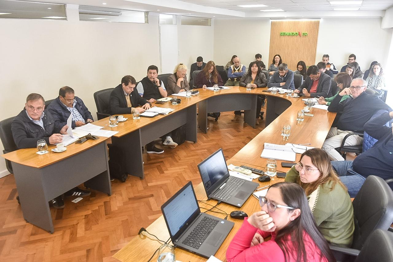 Senado: se analizaron modificaciones al proyecto sobre Transparencia y Ética Pública